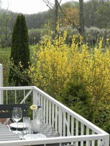 Ferienwohnung in Gustow - Ferienwohnung "Mary Poppins" mit Balkon zwischen Strand, Wald & Wiese im S&uuml;dosten der Insel R&uuml;gen! - Bild 21