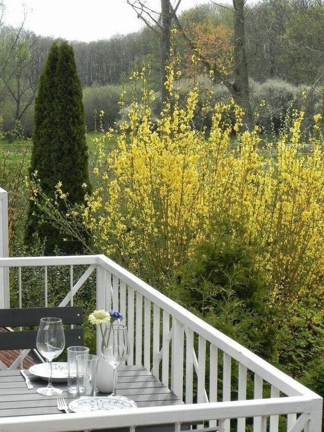 Ferienwohnung in Gustow - Ferienwohnung "Mary Poppins" mit Balkon zwischen Strand, Wald & Wiese im S&uuml;dosten der Insel R&uuml;gen! - Bild 21