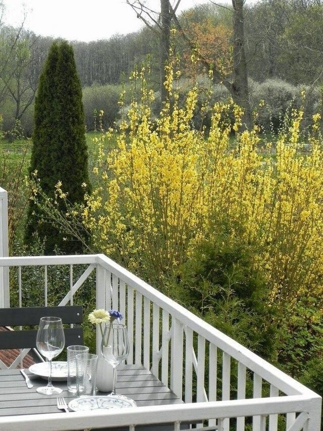 Ferienwohnung in Gustow - Ferienwohnung "Nils Holgerson" mit Balkon zwischen Strand, Wald & Wiese im S&uuml;dosten der Insel R&uuml;gen! - Bild 21