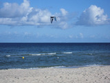 Ferienwohnung in Baabe - Strandvilla Baabe 6 - Auszeit - Bild 15