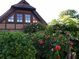 Darssblick