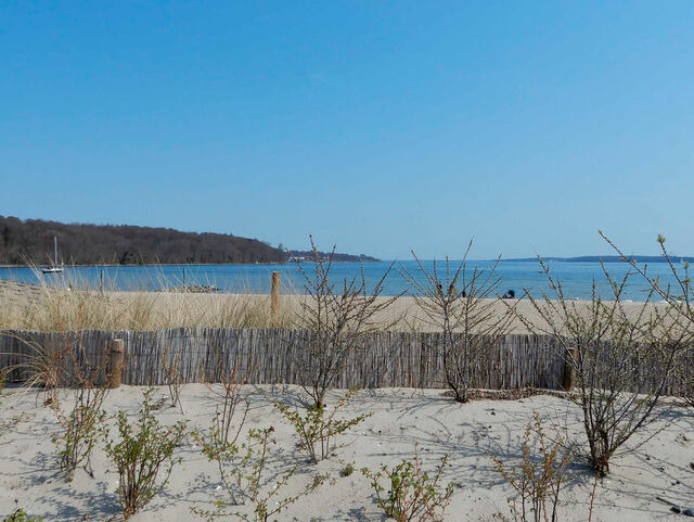Ferienwohnung in Harrislee - Appartement F&ouml;rdeblick am Strand von Wassersleben / App. 631 - Bild 15