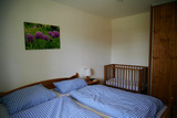 Ferienwohnung in Dahme - S&uuml;&szlig;e Wohnung direkt am Wald (rotes Haus EG) - Bild 4
