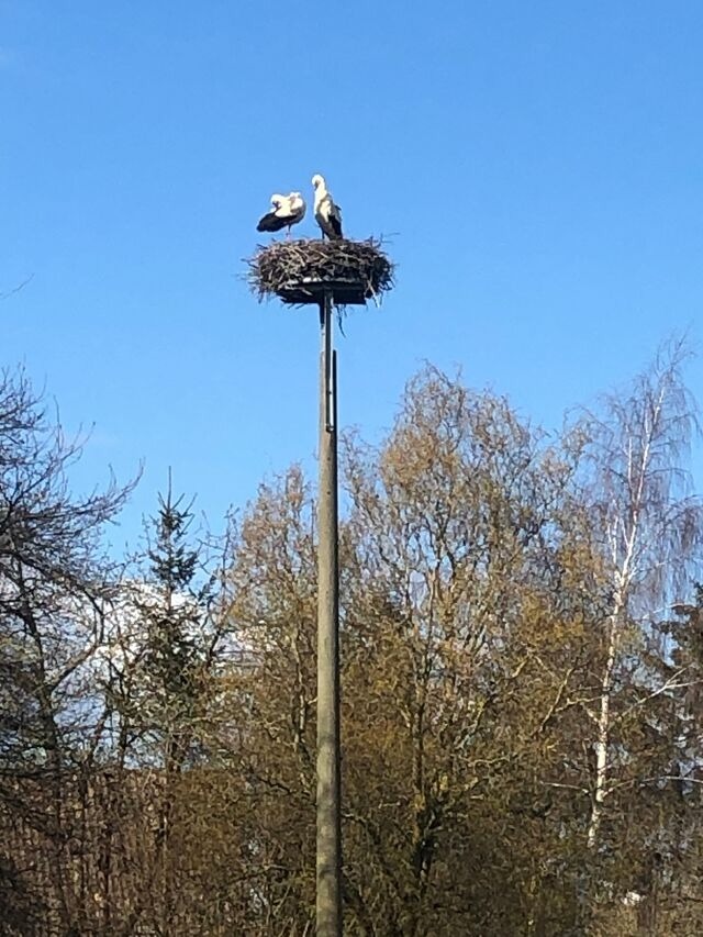 Ferienwohnung in Kenz-K&uuml;strow - Ferienwohnung am Storchnest - Bild 25