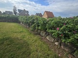 Ferienhaus in Dassow - zwisch. Boltenhagen und P&ouml;tenitz Ostseeurlaub bis 6 Pers."Alte Liebe" Haus A - Bild 18