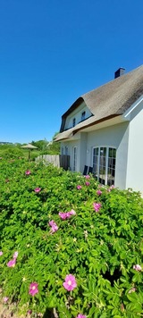 Ferienhaus in Dassow - zwisch. Boltenhagen und P&ouml;tenitz Ostseeurlaub bis 6 Pers."Alte Liebe" Haus A - Bild 19