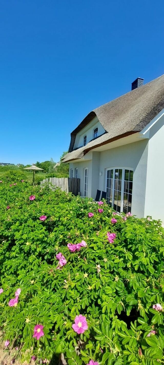 Ferienhaus in Dassow - zwisch. Boltenhagen und P&ouml;tenitz Ostseeurlaub bis 6 Pers."Alte Liebe" Haus A - Bild 19