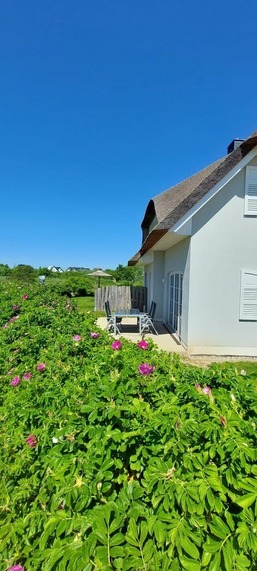 zwisch. Boltenhagen und P&ouml;tenitz Ostseeurlaub bis 6 Pers. "Alte Liebe"Haus B