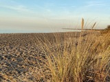 Ferienwohnung in Rostock - D&uuml;nenhopser - Bild 15
