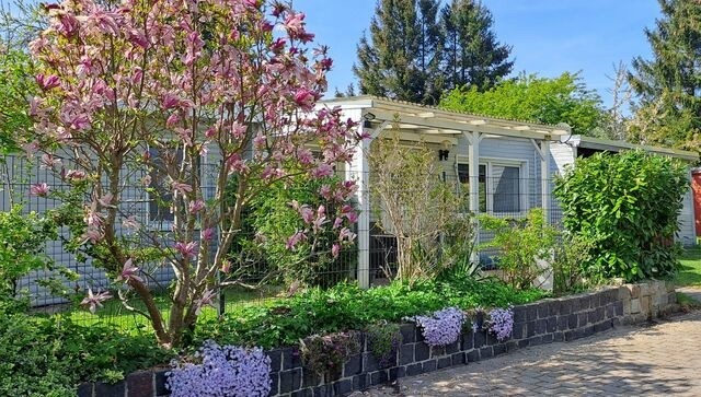 Bungalow in R&ouml;vershagen - Ferienhaus Sommer - Bild 22
