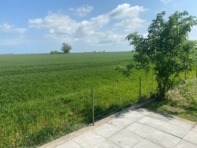 Ferienhaus in Fehmarn OT Gammendorf - Ferienhaus Sonnenwinkel - Blick &uuml;ber die Felder