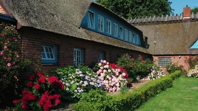 Ferienwohnung in Nieby - Strandhaus Falsh&ouml;ft 4 - Bild 12