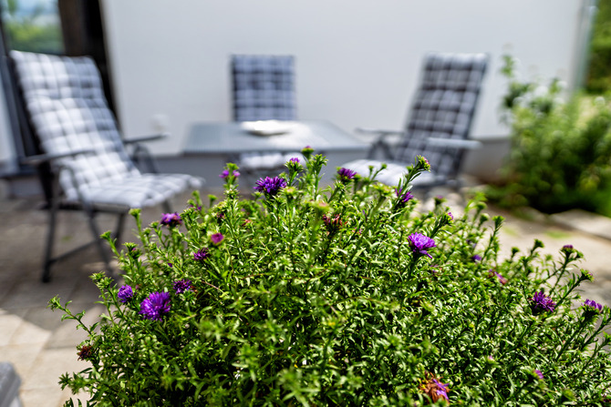 Ferienwohnung in B&ouml;rgerende - Appartement 2 - D&uuml;nenblick - Terrasse mit Liegesesseln