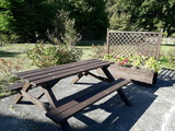 Einzelzimmer in Zempin - Ferienzimmer am Walde - Bild 13
