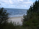 Einzelzimmer in Zempin - Ferienzimmer am Walde - Bild 15