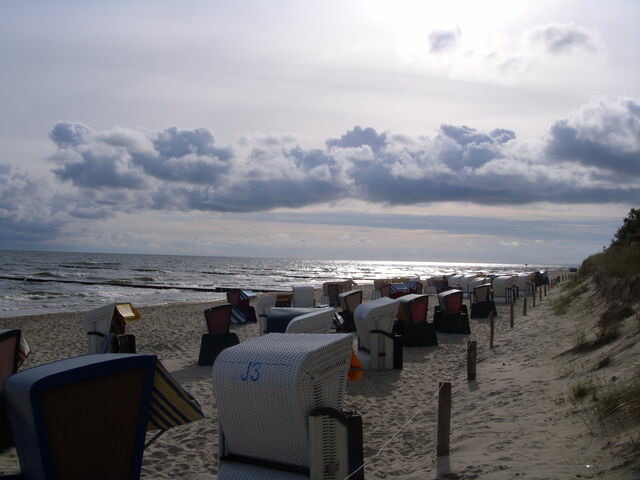 Einzelzimmer in Zempin - Ferienzimmer am Walde - Bild 19