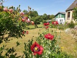 Ferienwohnung in Gr&ouml;dersby - 62 qm Ferienwohnung mit Schleiblick - Bild 17