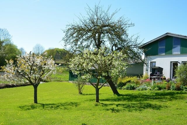 Ferienwohnung in Gr&ouml;dersby - 71 qm Ferienwohnung mit Schleiblick - Bild 15