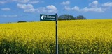 Ferienwohnung in Rieseby - Gut B&uuml;chenau - Ferienwohnung Meeresbrise - Bild 16