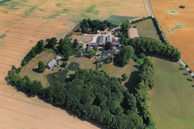 Ferienwohnung in Rieseby - Gut B&uuml;chenau - Ferienwohnung Meeresbrise - Bild 17