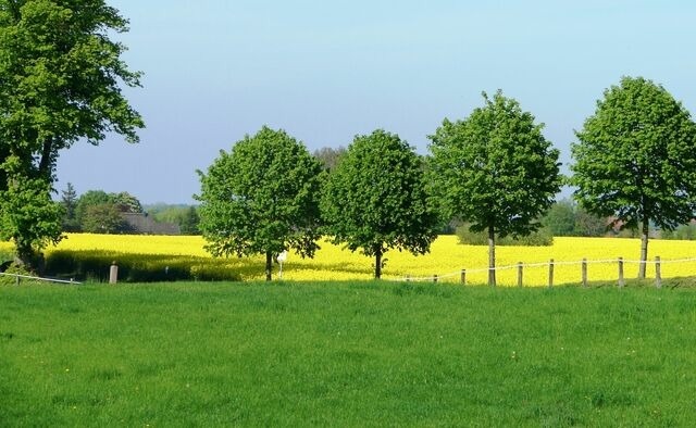 Ferienwohnung in Rieseby - Gut B&uuml;chenau - Ferienwohnung Meeresbrise - Bild 18