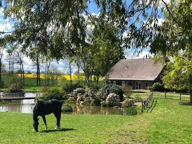 Ferienwohnung in Rieseby - Gut B&uuml;chenau - Ferienwohnung Meeresbrise - Bild 24