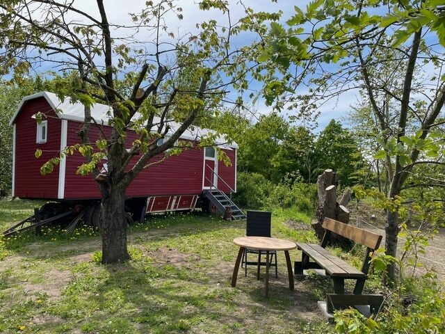Ferienwohnung in Wagersrott - Zirkuswagen auf dem L&auml;mmerhof - Bild 14
