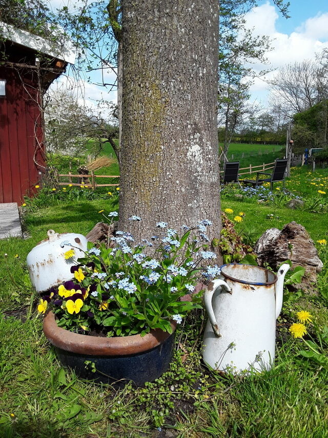 Ferienwohnung in Holzdorf - Ferienwohnung im Skulpturengarten Gr&uuml;nlund - Bild 15