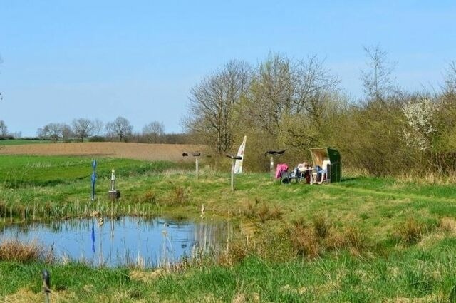 Ferienwohnung in Holzdorf - Ferienwohnung im Skulpturengarten Gr&uuml;nlund - Bild 16
