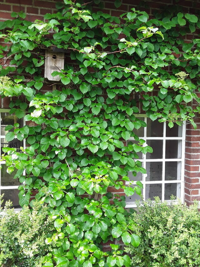 Ferienwohnung in Holzdorf - Ferienwohnung im Skulpturengarten Gr&uuml;nlund - Bild 18