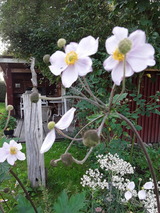 Ferienwohnung in Holzdorf - Ferienwohnung im Skulpturengarten Gr&uuml;nlund - Bild 20
