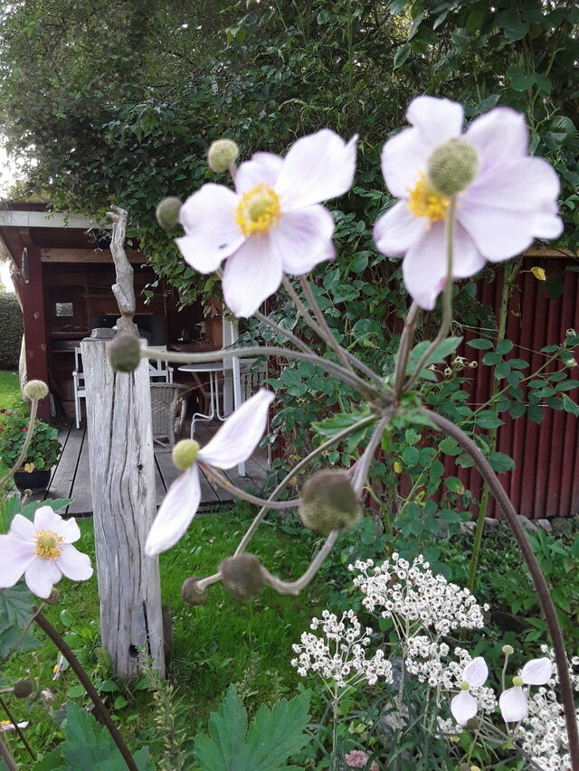 Ferienwohnung in Holzdorf - Ferienwohnung im Skulpturengarten Gr&uuml;nlund - Bild 20