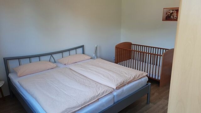 Ferienwohnung in Holzdorf - Phonomuseum Alte Schule - Berliner - Bild 15