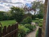 Ferienhaus in Winnemark - Ferienhaus Waldidylle - Bild 14