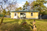 Ferienhaus in Pruchten - Hundeparadies "Bodden Paradise Cottage" - Bild 23