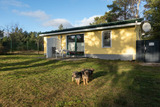 Ferienhaus in Pruchten - Hundeparadies "Bodden Paradise Cottage" - Bild 5