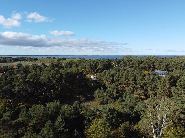 Ferienhaus in Pruchten - Hundeparadies "Bodden Paradise Cottage" - Bild 24
