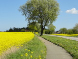 Ferienwohnung in Gelting-Niesgrau - Ferienwohnung Hafenblick Ferienhof Geltinger Bucht - Bild 23