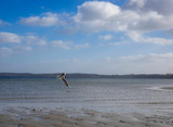 Ferienwohnung in Gl&uuml;cksburg - Ferienwohnung Gl&uuml;cks-Burg "Sonne" - Bild 20