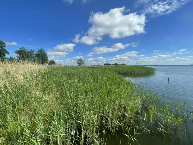 Ferienwohnung in Garz - Ferienwohnung - R&uuml;genbrise am Wasser mit Steg und Paddelboot - alles inklusive - Bild 14