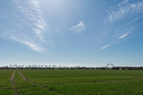 Ferienhaus in Fehmarn OT Avendorf - Alte Liebe - Bild 13