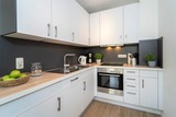 Ferienhaus in Dahme - Austernfischer - Bild 2