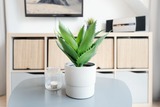 Ferienwohnung in Scharbeutz - Hansa-Residenz D&uuml;nennest - Bild 12