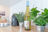 Ferienwohnung in Scharbeutz - Hansa-Residenz D&uuml;nennest - Bild 16