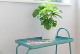 Ferienwohnung in Malente - Zuckersnuut - Bild 19