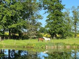 Ferienwohnung in Rieseby - Gut B&uuml;chenau - Ferienwohnung Weitsicht - Bild 16