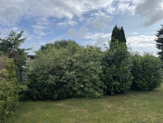 Ferienwohnung in R&ouml;vershagen - Sonne und Me(eh)r (Niederhagen) - Garten