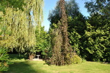 Ferienwohnung in Hageb&ouml;k - Ferienwohnung Thiedmann - Bild 14