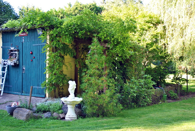 Ferienwohnung in Hageb&ouml;k - Ferienwohnung Thiedmann - Bild 16