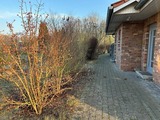 Ferienhaus in Wangels - Ferienhaus Tutsch Ostblick - Bild 11